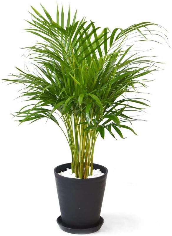 一点物！！お手製　オーナメントフラワー　新品未使用　9✕9✕5センチ 一点物!!お手製 オーナメントフラワー 9✕9✕5センチ